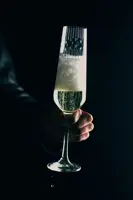 Kieliszki do wina musującego zestaw 2 szt PAS45440728200