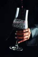 Zestaw kieliszków do wina 2 szt. PAS45940862360
